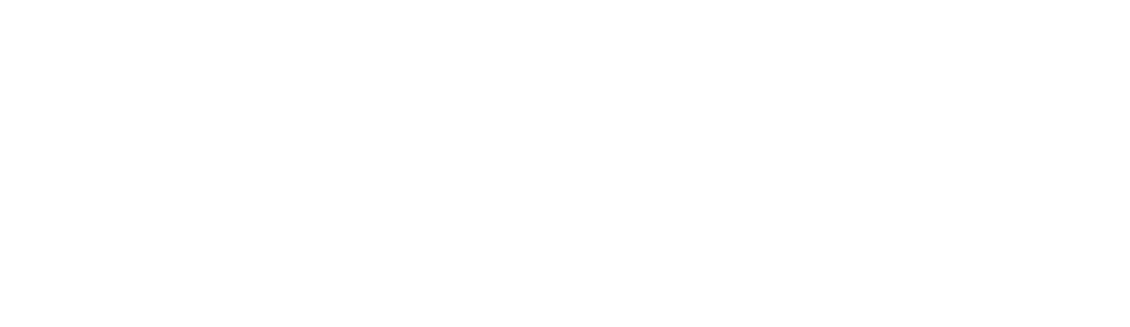Logo DMT Food